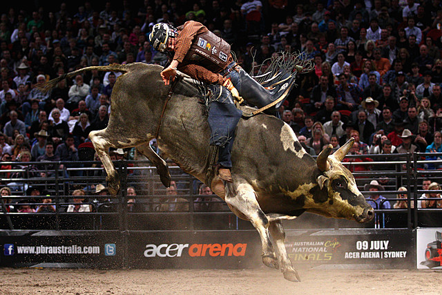 No Bull!  The Best Bull Riders In The World Coming To Bismarck!