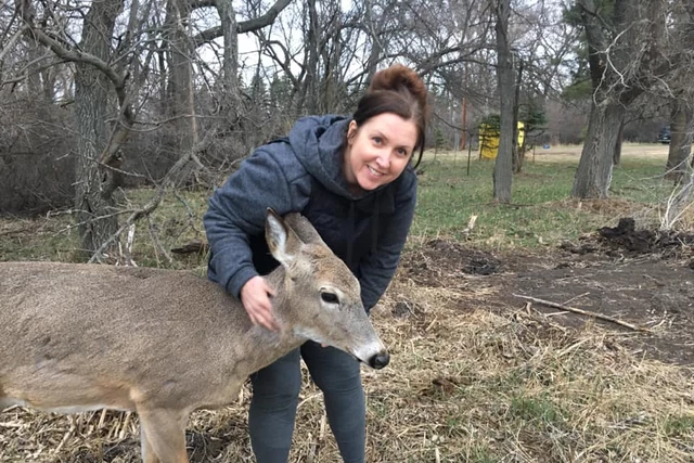 One Of The Good Ones!  Jonnie The Deer Is Alive & Well! (PHOTOS-VIDEOS)